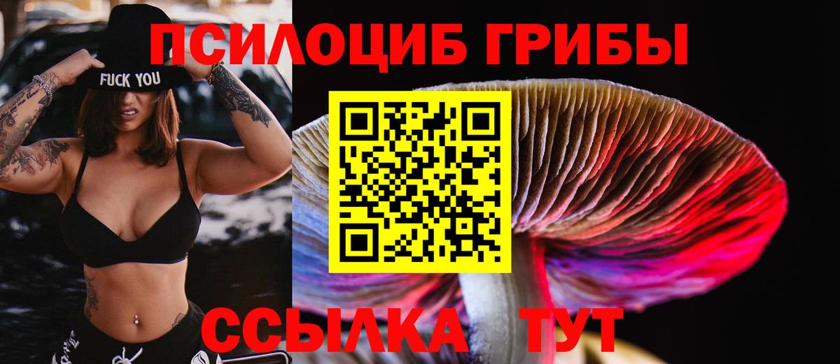 Псилоцибиновые грибы Psilocybe  Псилоцибиновые грибы MAGIC MUSHROOMS  Ликино-Дулёво  Вход с VPN 