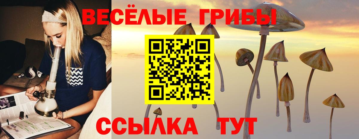Псилоцибиновые грибы ЛСД Ликино-Дулёво